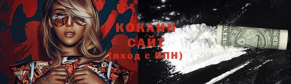 ПСИЛОЦИБИНОВЫЕ ГРИБЫ Дмитриев