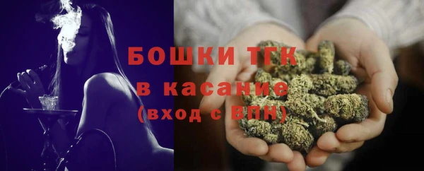 ПСИЛОЦИБИНОВЫЕ ГРИБЫ Дмитриев