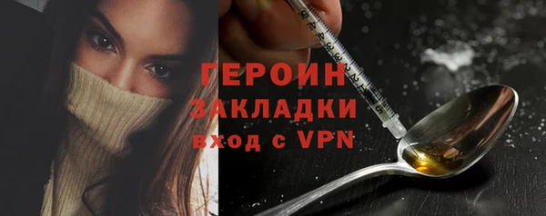 ПСИЛОЦИБИНОВЫЕ ГРИБЫ Дмитриев