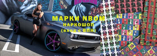 ПСИЛОЦИБИНОВЫЕ ГРИБЫ Дмитриев