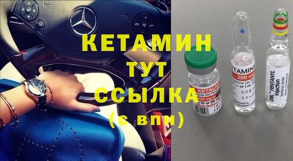 ПСИЛОЦИБИНОВЫЕ ГРИБЫ Дмитриев