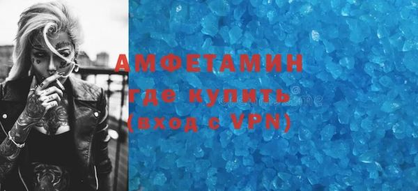 ПСИЛОЦИБИНОВЫЕ ГРИБЫ Дмитриев