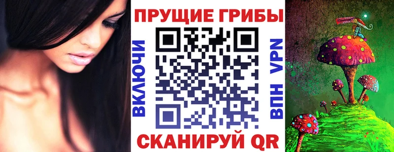hydra как зайти  Каменка  Галлюциногенные грибы Psilocybe 